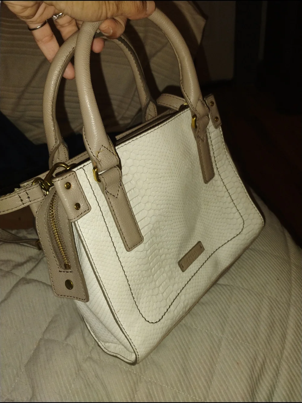 Fossil Cream and Taupe Snake Textured Satchel